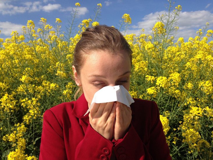 Leven met een allergie