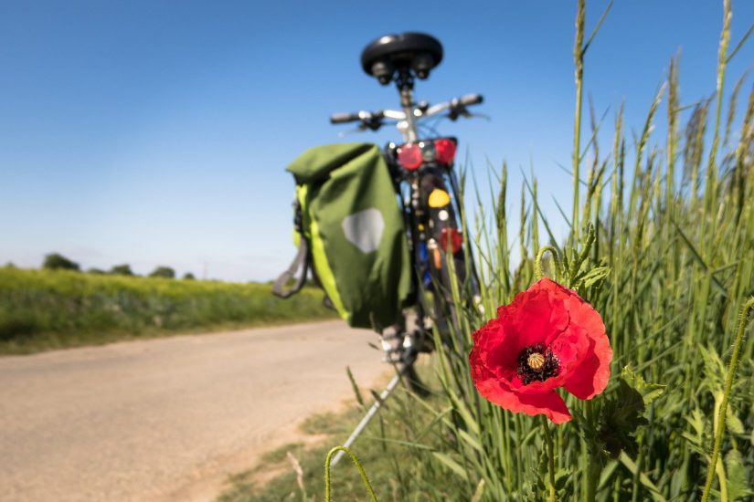 Hoe flexibel is jouw fiets?